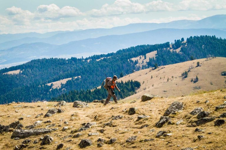 9 Hard Truths About Hunting on Public Land